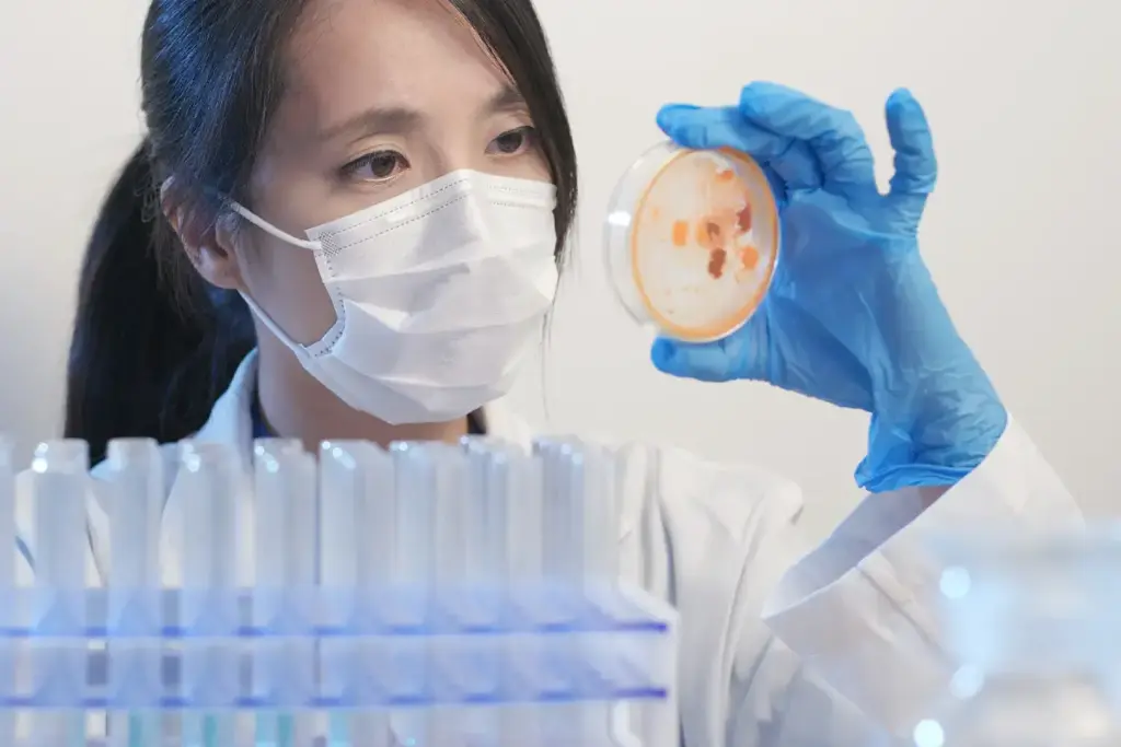 Rejeneratif Tıp Nedir?